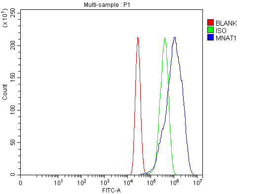  Flow Cytometry analysis of MCF-7 cells using anti-MNAT1 antibody (A06523)