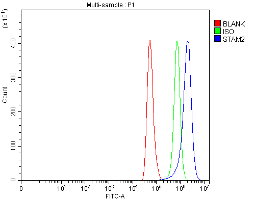  Flow Cytometry analysis of Hela cells using anti-STAM2 antibody (A06533-3)