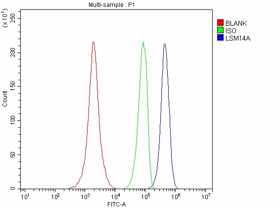  Flow Cytometry analysis of SH-SY5Y cells using anti-LSM14A antibody (A06546-1)