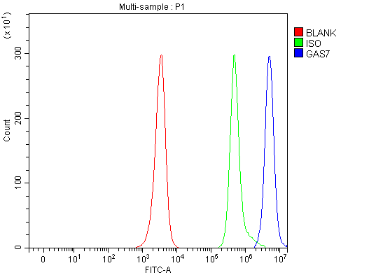  Flow Cytometry analysis of JK cells using anti-GAS7 antibody (A06548-2)
