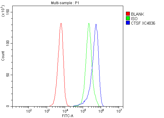 a06600 1 cathepsin_f ctsf primary antibodies fcm testing 4