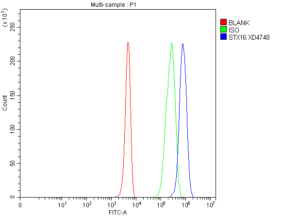 Flow Cytometry analysis of 293T cells using anti-Syntaxin 16/STX16 antibody (A06602-1)