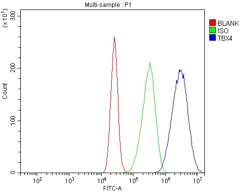  Flow Cytometry analysis of CACO-2 cells using anti-TBX4 antibody (A06607-1)