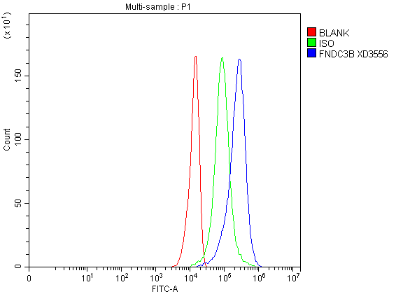 a06614 1 fndc3b primary antibodies fcm testing 1