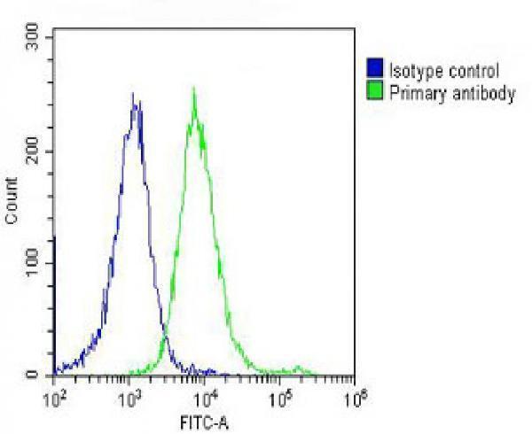 a06628 1 anti mape antibody c term fc testing 3