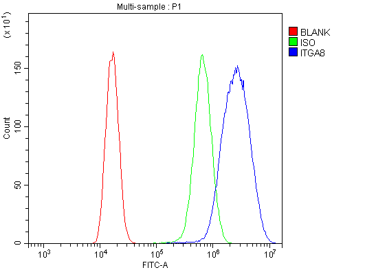  Flow Cytometry analysis of 293T cells using anti-ITGA8 antibody (A06636-2)