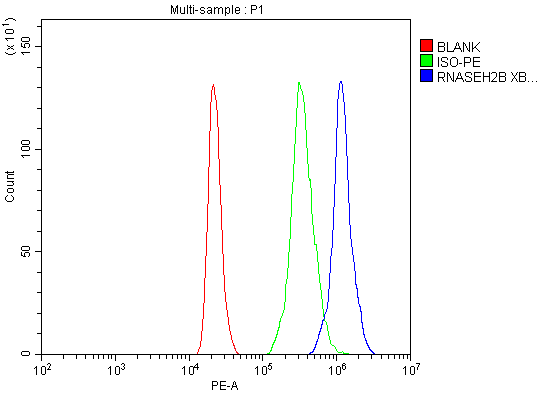 a06660 1 rnaseh2b primary antibodies fcm testing 3