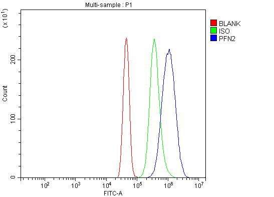 a06663 pfn2 primary antibodies fcm testing 5