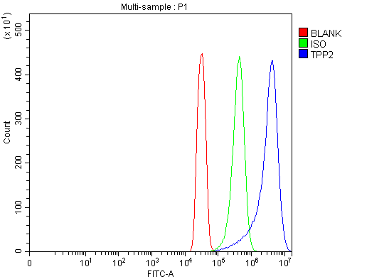 a06668 2 tpp2 primary antibodies fcm testing 7
