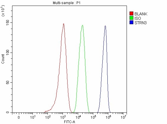 a06672 1 strn3 primary antibodies fcm testing 3