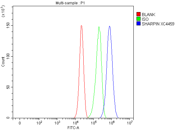  Flow Cytometry analysis of A549 cells using anti-SHARPIN antibody (A06687-2)