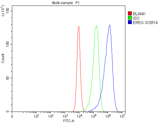 a06692 2 ereg primary antibodies fcm testing 1