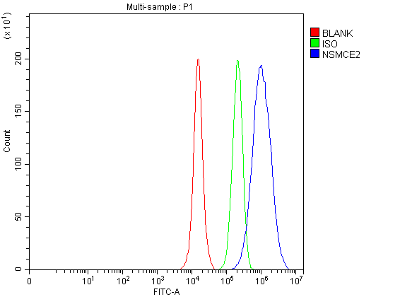 a06693 1 nsmce2 primary antibodies fcm testing 4