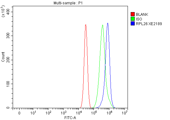 a06701 2 rpl26 primary antibodies fcm testing 1