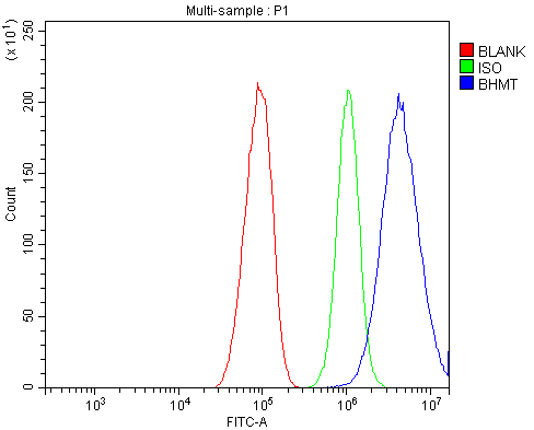  Flow Cytometry analysis of HEPG2 cells using anti-BHMT antibody (A06712-1)