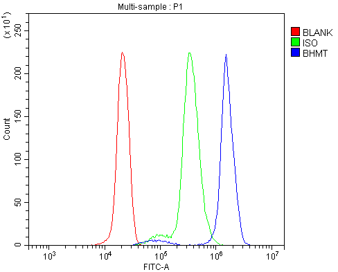  Flow Cytometry analysis of U937 cells using anti-BHMT antibody (A06712-1)