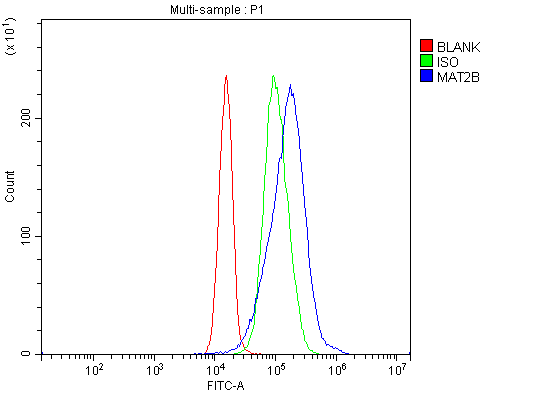  Flow Cytometry analysis of JK cells using anti-MAT2B/TGR antibody (A06719-2)