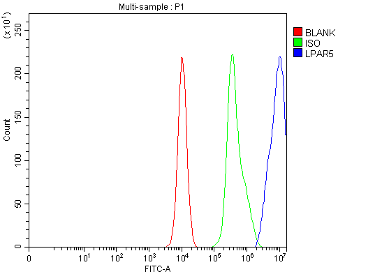  Flow Cytometry analysis of K562 cells using anti-GPR92/LPAR5 antibody (A06721-1)