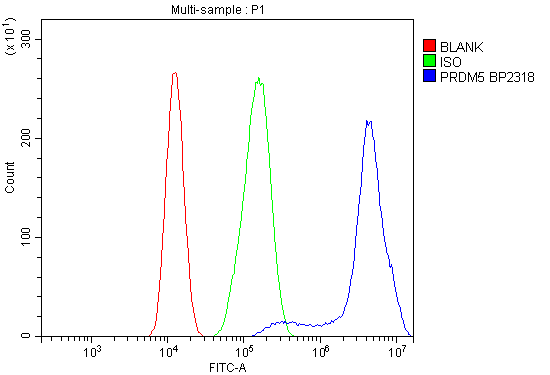 a06736 1 prdm5 primary antibodies fc testing 10
