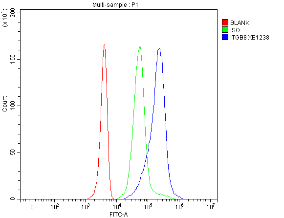 Flow Cytometry analysis of 293T cells using anti-ITGB8 antibody (A06744-1)