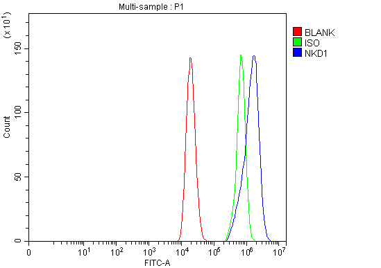 a06747 1 nkd1 primary antibodies fcm testing 2