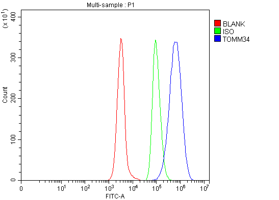 a06775 1 tomm34 primary antibodies fcm testing 10