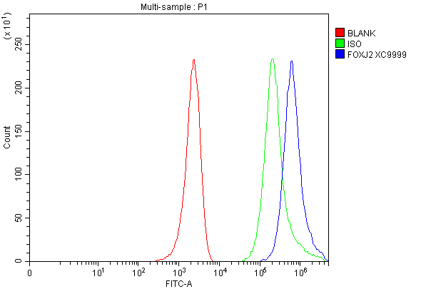 a06789 1 foxj2 primary antibodies fcm testing 1