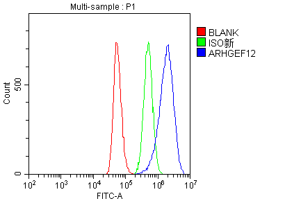 a06802 3 arhgef12 primary antibodies fcm testing 8