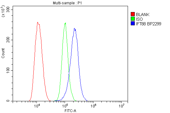 a06814 1 ift88 primary antibodies fc testing 6