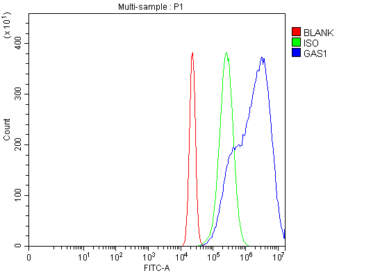  Flow Cytometry analysis of Hela cells using anti-GAS1 antibody (A06815-2)