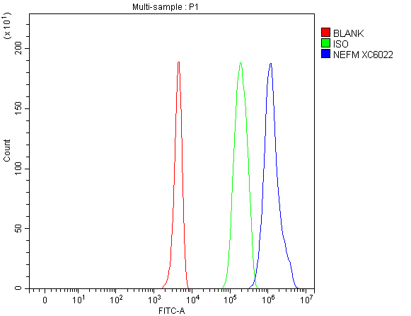 a06821 2 nefm primary antibodies fcm testing 1