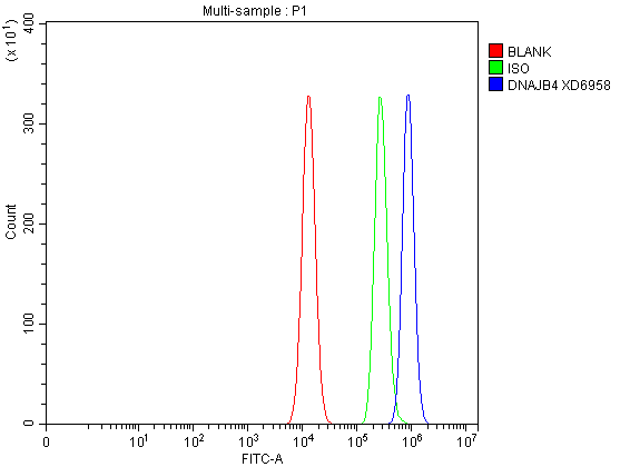 Flow Cytometry analysis of A549 cells using anti-DNAJB4 antibody (A06835-4)