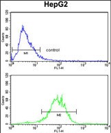 a06845 2 anti enob antibody center fc testing 3