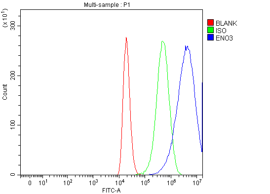a06845 4 eno3 primary antibodies fcm testing 3