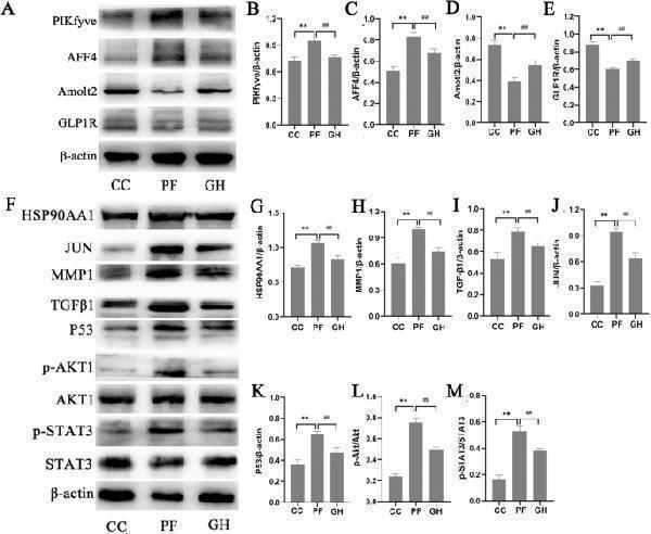 a06852 13020_2023_769_fig8_html