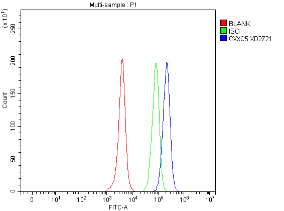 a06865 1 cxxc5 primary antibodies fcm testing 1