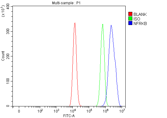  Flow Cytometry analysis of HEL cells using anti-NFRKB antibody (A06867-2)