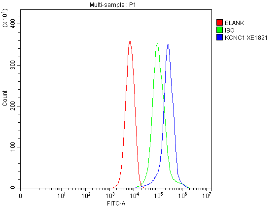 a06871 2 kcnc1 primary antibodies fcm testing 1