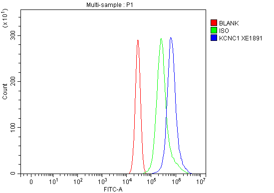 a06871 2 kcnc1 primary antibodies fcm testing 2