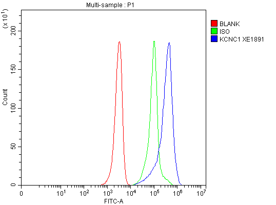 a06871 2 kcnc1 primary antibodies fcm testing 3