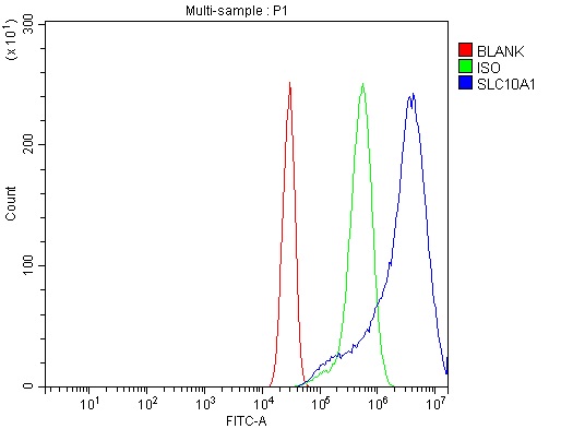 a06872 1 slc10a1 primary antibodies fcm testing 5