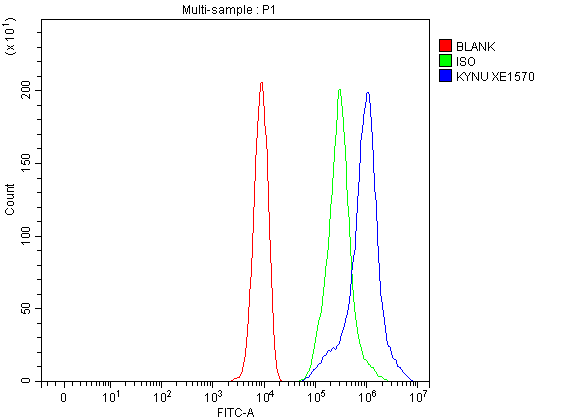 a06885 1 kynu primary antibodies fcm testing 1