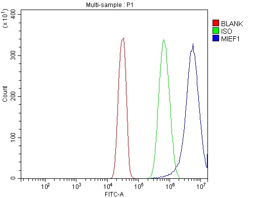 a06887 1 mief1 primary antibodies fcm testing 5