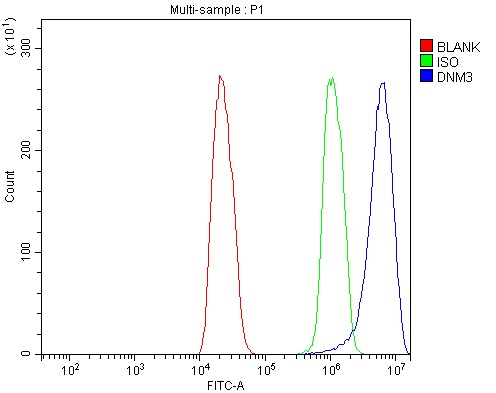 a06890 2 dnm3 primary antibodies fcm testing 4