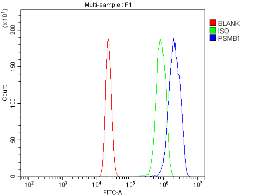 a06891 1 psmb1 primary antibodies fcm testing 3