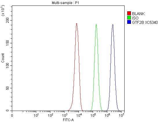 Flow Cytometry analysis of HepG2 cells using anti-GTF2B antibody (A06893)