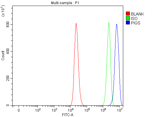 a06942 1 pigs primary antibodies fcm testing 3