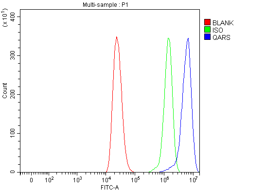 a06953 1 qars1 primary antibodies fcm testing 9