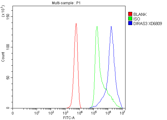 Flow Cytometry analysis of K562 cells using anti-ARHI/DIRAS3 antibody (A06954-2)
