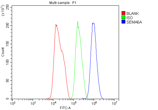 a06967 1 sema6a primary antibodies fcm testing 3